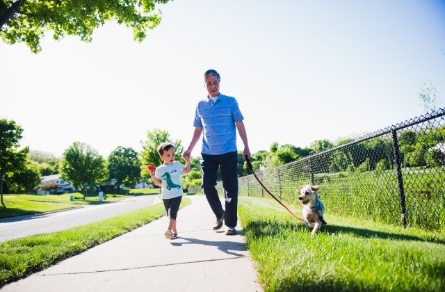 「散歩中にお尻がビリビリする」その症状、坐骨神経痛かも！